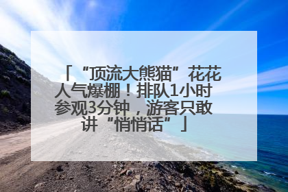 “顶流大熊猫”花花人气爆棚！排队1小时参观3分钟，游客只敢讲“悄悄话”