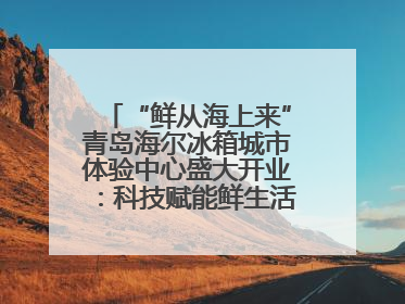 “鲜从海上来”青岛海尔冰箱城市体验中心盛大开业：科技赋能鲜生活，重新定义全球饮食未来