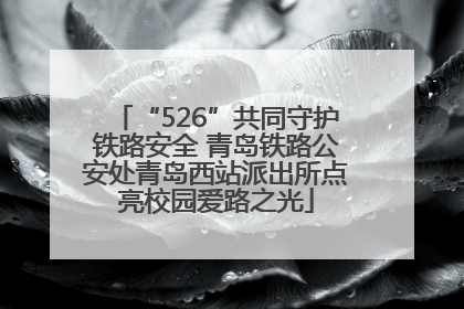 “526”共同守护铁路安全 青岛铁路公安处青岛西站派出所点亮校园爱路之光
