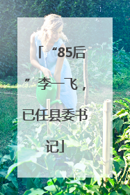 “85后”李一飞，已任县委书记