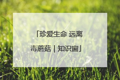 珍爱生命 远离毒蘑菇｜知识窗