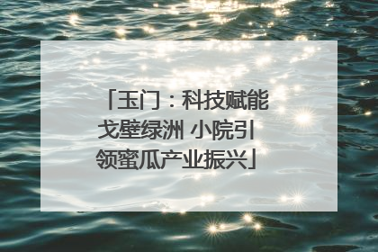 玉门：科技赋能戈壁绿洲 小院引领蜜瓜产业振兴