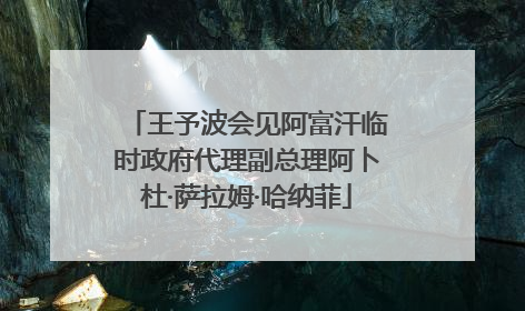 王予波会见阿富汗临时政府代理副总理阿卜杜·萨拉姆·哈纳菲