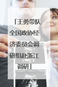 王勇带队全国政协经济委员会调研组赴浙江调研
