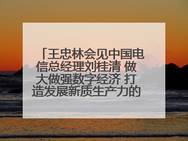 王忠林会见中国电信总经理刘桂清 做大做强数字经济 打造发展新质生产力的强劲引擎
