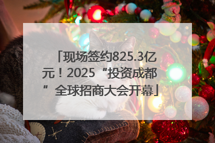 现场签约825.3亿元！2025“投资成都”全球招商大会开幕