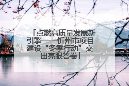 点燃高质量发展新引擎——忻州市项目建设“冬季行动”交出亮眼答卷