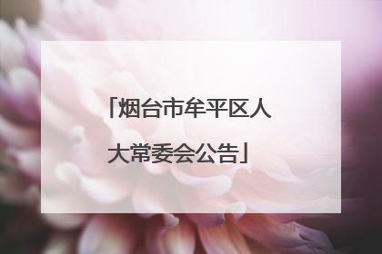 烟台市牟平区人大常委会公告