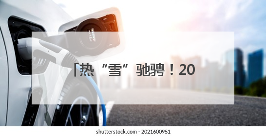 热“雪”驰骋！2025长三角青少年滑雪公开赛在沪举行