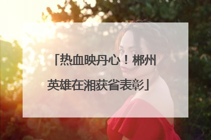 热血映丹心！郴州英雄在湘获省表彰