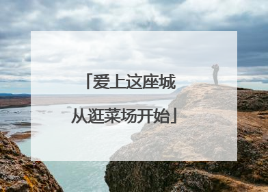 爱上这座城 从逛菜场开始