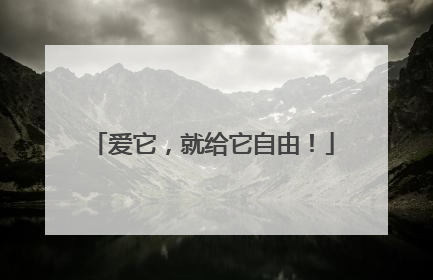 爱它，就给它自由！