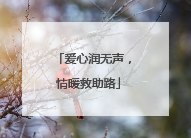 爱心润无声，情暖救助路