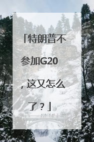 特朗普不参加G20，这又怎么了？