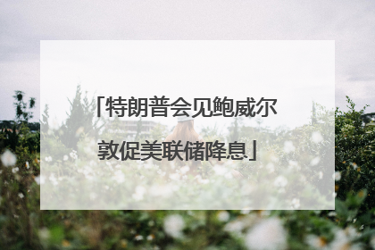特朗普会见鲍威尔 敦促美联储降息
