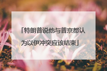 特朗普说他与普京都认为以伊冲突应该结束