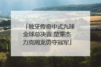 独牙传奇中式九球全球总决赛 楚秉杰力克周龙勇夺冠军