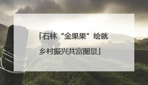 石林“金果果”绘就乡村振兴共富图景
