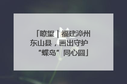 瞭望｜福建漳州东山县，画出守护“蝶岛”同心圆