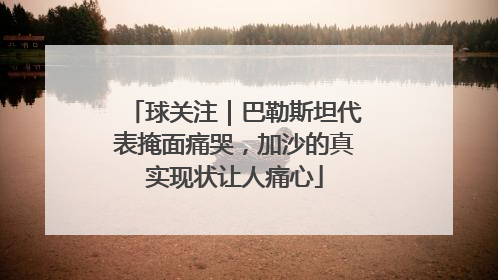 球关注｜巴勒斯坦代表掩面痛哭，加沙的真实现状让人痛心