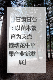 甘肃甘谷：以苗木繁育为支点 撬动花牛苹果产业新发展