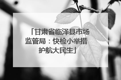 甘肃省临泽县市场监管局：快检小举措 护航大民生