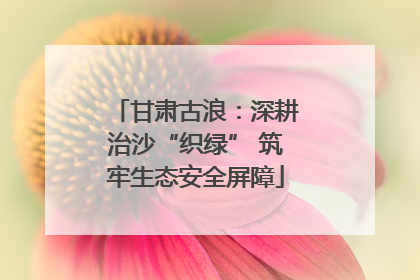 甘肃古浪：深耕治沙“织绿” 筑牢生态安全屏障