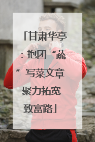 甘肃华亭：抱团“蔬”写菜文章 聚力拓宽致富路