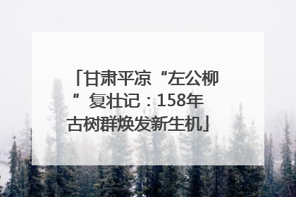 甘肃平凉“左公柳”复壮记：158年古树群焕发新生机