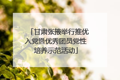 甘肃张掖举行推优入党暨优秀团员党性培养示范活动