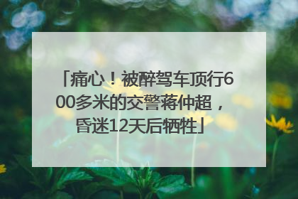 痛心！被醉驾车顶行600多米的交警蒋仲超，昏迷12天后牺牲