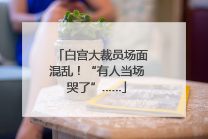 白宫大裁员场面混乱！“有人当场哭了”……