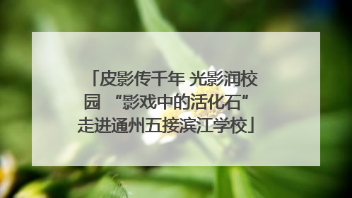 皮影传千年 光影润校园 “影戏中的活化石”走进通州五接滨江学校