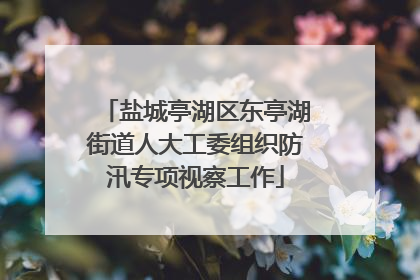 盐城亭湖区东亭湖街道人大工委组织防汛专项视察工作