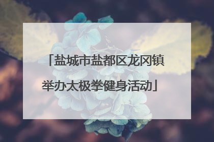 盐城市盐都区龙冈镇举办太极拳健身活动