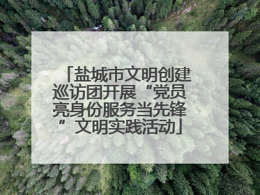 盐城市文明创建巡访团开展“党员亮身份服务当先锋”文明实践活动