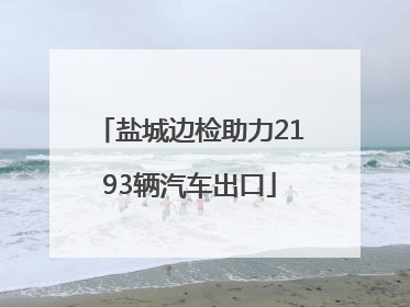 盐城边检助力2193辆汽车出口