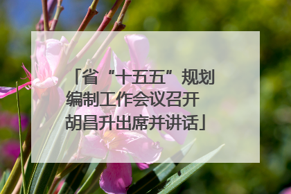 省“十五五”规划编制工作会议召开 胡昌升出席并讲话