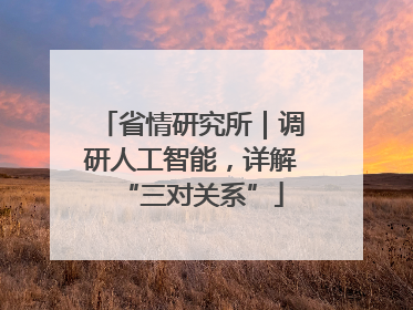 省情研究所｜调研人工智能，详解“三对关系”