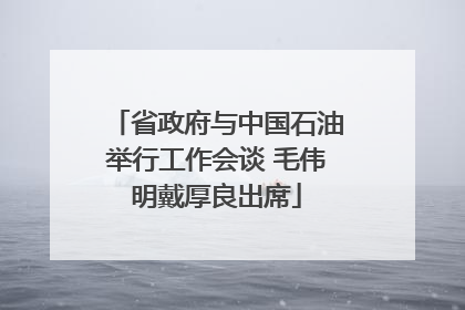 省政府与中国石油举行工作会谈 毛伟明戴厚良出席