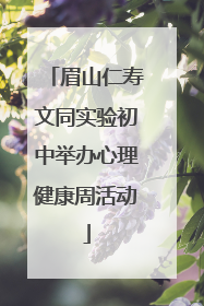 眉山仁寿文同实验初中举办心理健康周活动