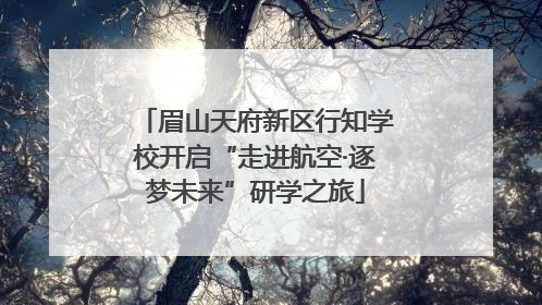 眉山天府新区行知学校开启“走进航空·逐梦未来”研学之旅