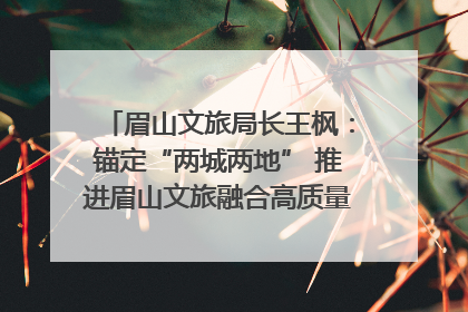 眉山文旅局长王枫：锚定“两城两地” 推进眉山文旅融合高质量发展｜文旅局长说