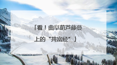 看！曲阜葫芦藤蔓上的“共富经”