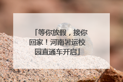 等你放假，接你回家！河南暑运校园直通车开启