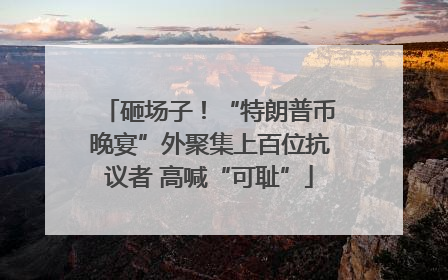 砸场子！“特朗普币晚宴”外聚集上百位抗议者 高喊“可耻”