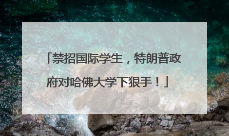 禁招国际学生，特朗普政府对哈佛大学下狠手！