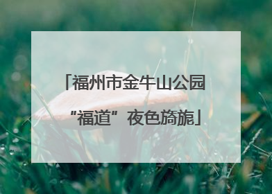 福州市金牛山公园“福道”夜色旖旎