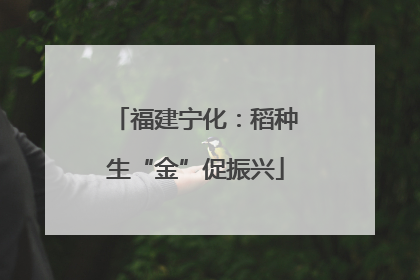 福建宁化：稻种生“金”促振兴