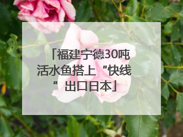 福建宁德30吨活水鱼搭上“快线”出口日本